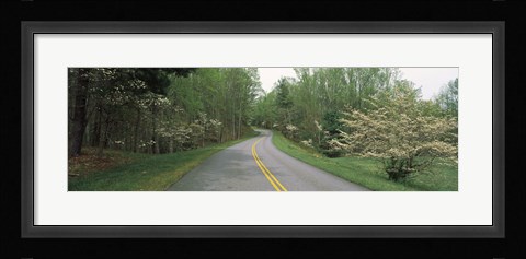 Framed Road passing through a landscape, Blue Ridge Parkway, Virginia, USA Print