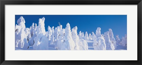 Framed Snow Covered Trees, Zao Yamagata Japan Print