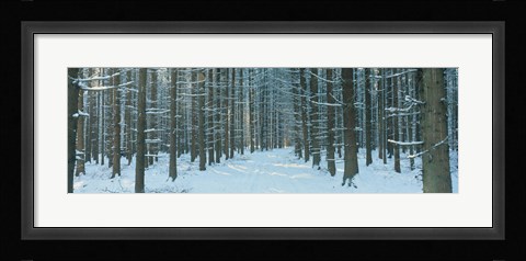 Framed Germany Print