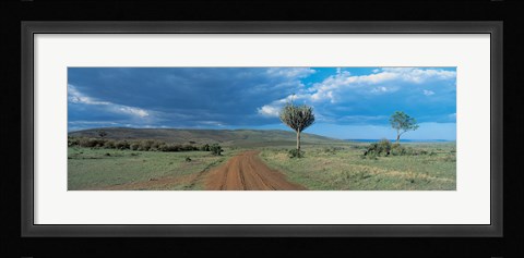 Framed Masai Mara Game Reserve Kenya Print
