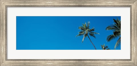 Framed Palm trees Waikiki Oahu HI USA Print
