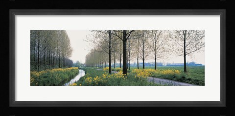 Framed Dordrecht Holland Netherlands Print
