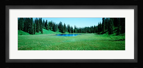 Framed Trees in a forest, Lakes, Alaska, USA Print