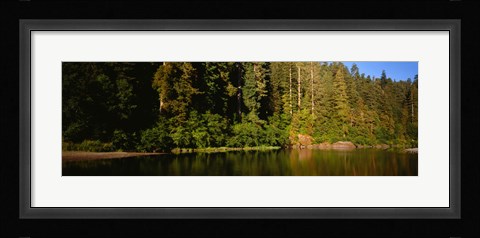 Framed Reflection of trees in a river, Smith River, Jedediah Smith Redwoods State Park, California, USA Print