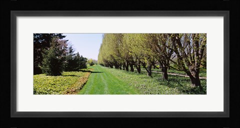 Framed Botanical garden, Niagara Falls, Ontario, Canada Print