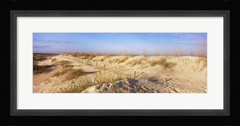 Framed Sand dunes on the beach, Anastasia State Recreation Area, St. Augustine, St. Johns County, Florida, USA Print