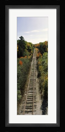 Framed Railroad tracks along Route 1A between Ellsworth and Bangor, Maine, USA Print