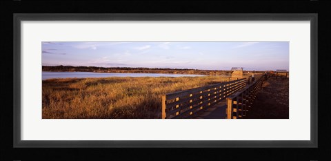 Framed Boardwalk in a state park, Myakka River State Park, Sarasota, Sarasota County, Florida, USA Print