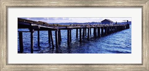 Framed Seagulls on a pier, Whidbey Island, Island County, Washington State, USA Print