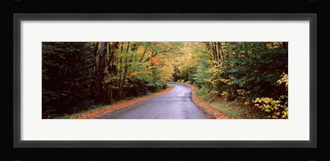 Framed Road passing through a forest, Green Bridge Road, Adirondack Mountains, Thendara, Herkimer County, New York State, USA Print