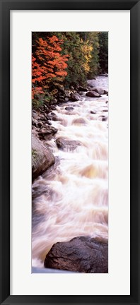 Framed River flowing through a forest, Ausable River, Adirondack Mountains, Wilmington, New York State (vertical) Print