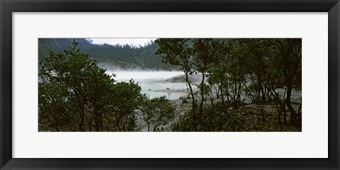 Framed Volcanic lake in a forest, Kawah Putih, West Java, Indonesia Print