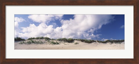 Framed Sand dunes, Cape Hatteras National Seashore, Outer Banks, North Carolina, USA Print