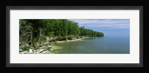 Framed Trees at the lakeside, Cave Point County Park, Lake Michigan, Wisconsin Print