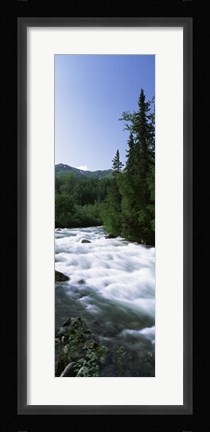 Framed River flowing through a forest, Little Susitna River, Hatcher Pass, Talkeetna Mountains, Alaska, USA Print