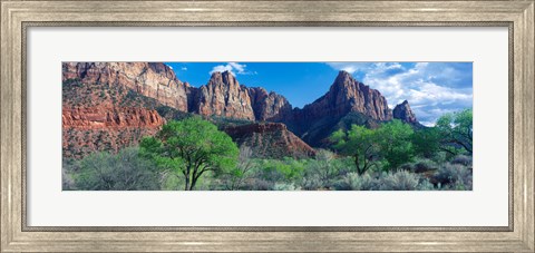 Framed Cottonwood trees and The Watchman, Zion National Park, Utah, USA Print