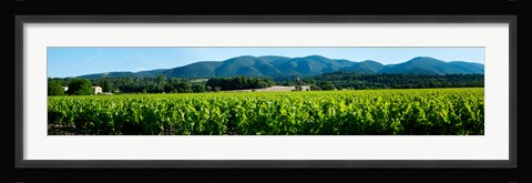 Framed Vineyards along D27, Vaugines, Vaucluse, Provence-Alpes-Cote d'Azur, France Print