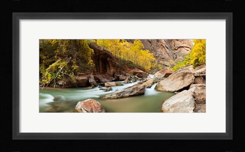 Framed Cottonwood trees and rocks along Virgin River, Zion National Park, Springdale, Utah, USA Print