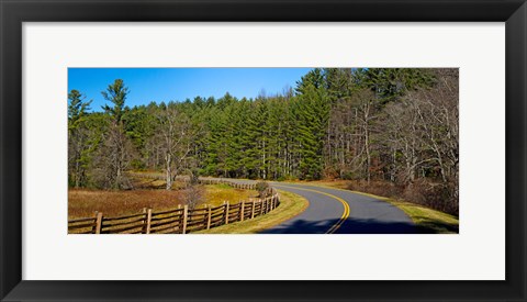 Framed Road passing through a forest, Blue Ridge Parkway, North Carolina, USA Print