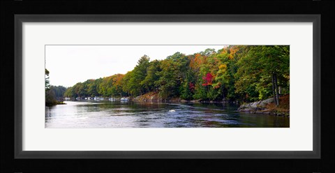 Framed Trees at the Riverside, Musquash River, Muskoka, Ontario, Canada Print