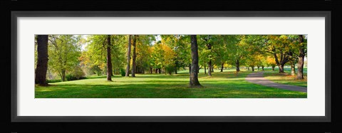 Framed Trees in autumn, Blue Lake Park, Portland, Multnomah County, Oregon, USA Print