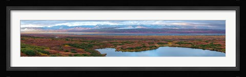 Framed Tundra landscape, Denali National Park, Alaska, USA Print