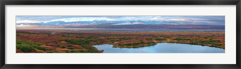 Framed Tundra landscape, Denali National Park, Alaska, USA Print