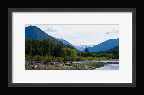 Framed Trees in front of mountains in Quinault Rainforest, Olympic National Park, Washington State, USA Print
