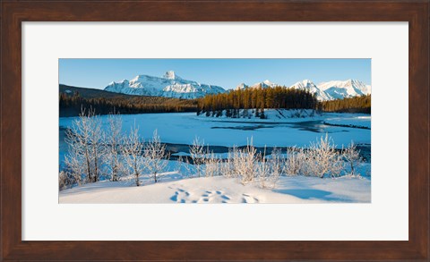 Framed Frozen river with mountain range in the background, Mt Fryatt, Athabaska River, Jasper National Park, Alberta, Canada Print