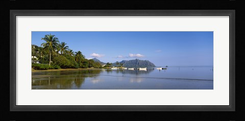 Framed Palm trees at a coast, Kaneohe Bay, Oahu, Hawaii, USA Print
