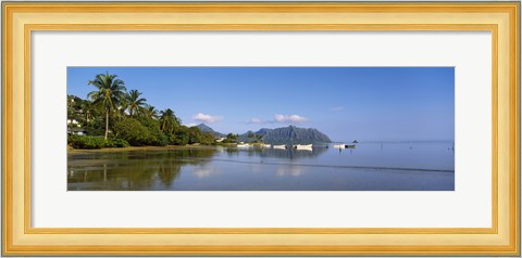 Framed Palm trees at a coast, Kaneohe Bay, Oahu, Hawaii, USA Print