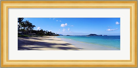 Framed Palm trees on the beach, Lanikai Beach, Oahu, Hawaii, USA Print