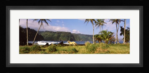 Framed Horse and palm trees on the coast, Hawaii, USA Print