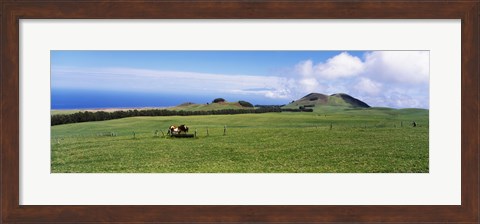 Framed Horses at feeding at trough in a ranch, Hawaii, USA Print