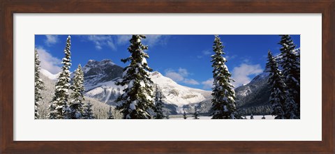 Framed Snow covered trees with mountain range in the background, Emerald Lake, Yoho National Park, Canada Print