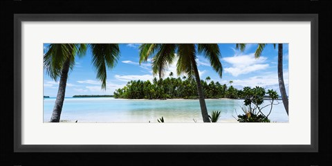 Framed Palm trees on the beach, Rangiroa Atoll, French Polynesia Print
