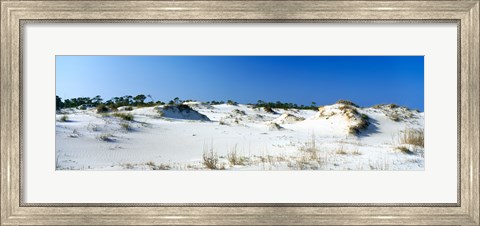 Framed Sand dunes in a desert, St. George Island State Park, Florida Panhandle, Florida, USA Print