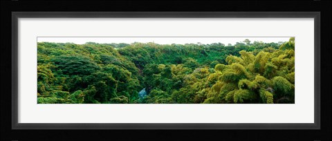 Framed Countryside, Mauritius Island, Mauritius Print