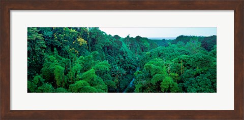 Framed Aerial View of Mauritius Island Print