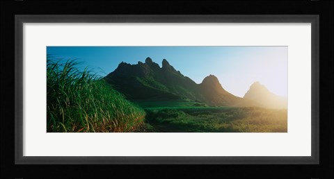 Framed Sugar cane crop in a field, Trois Mamelles, Mauritius island, Mauritius Print