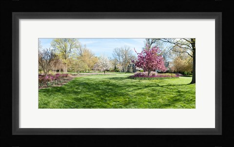 Framed Trees in a Garden, Sherwood Gardens, Baltimore, Maryland Print