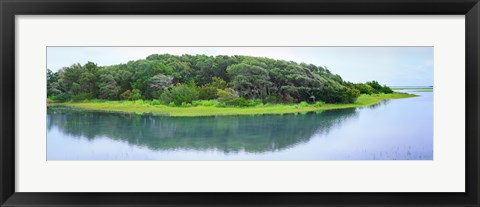 Framed Trees at Rachel Carson Coastal Nature Preserve, Beaufort, North Carolina, USA Print