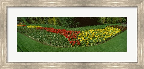 Framed Flowers in St. James&#39;s Park, City of Westminster, London, England Print