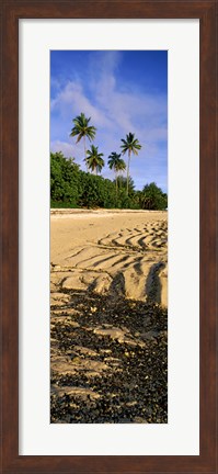 Framed Palm trees on the beach, Rarotonga, Cook Islands, New Zealand Print