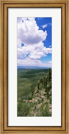 Framed Clouds over a landscape, Tucson Mountain Park, Tucson, Arizona, USA Print
