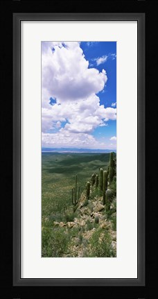 Framed Clouds over a landscape, Tucson Mountain Park, Tucson, Arizona, USA Print