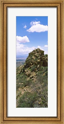 Framed Tucson Mountain Park facing East, Tucson, Arizona, USA Print