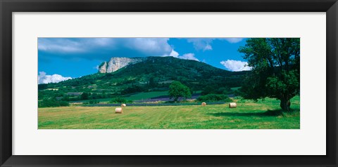 Framed Tree in a field, Mevouillon, Provence-Alpes-Cote d&#39;Azur, France Print