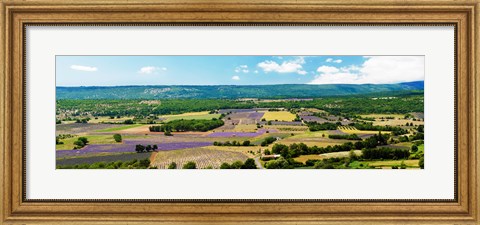 Framed Aerial view of fields, Provence-Alpes-Cote d&#39;Azur, France Print