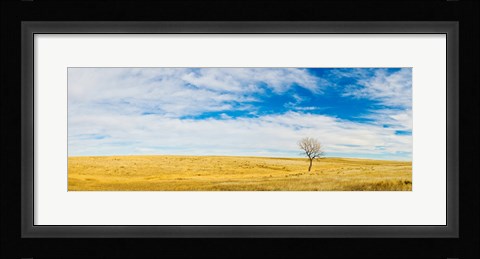 Framed Lone Hackberry tree in autumn plains, South Dakota Print